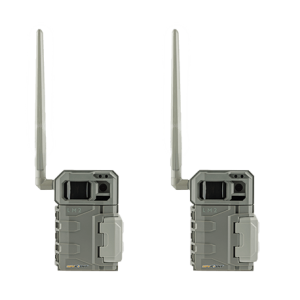 Spypoint Lm2 Coppia