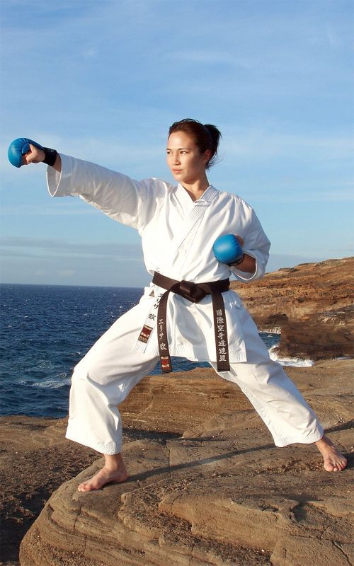 KARATEGI TOKAIDO Kumite Hayate Made in Japan - immagine 4