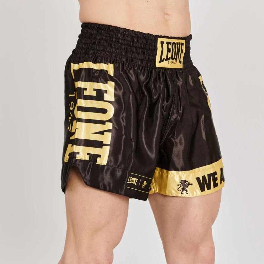 Pantaloncini Muay Thai Kick Boxing Leone DNA - immagine 4